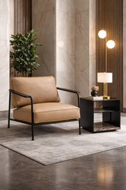 Aero Lounge Chair